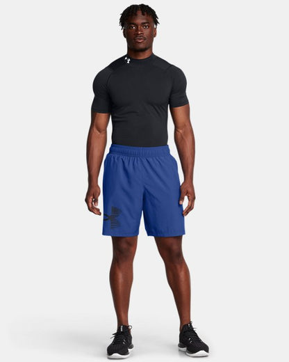 Men's UA Tech? Woven Graphic Shorts